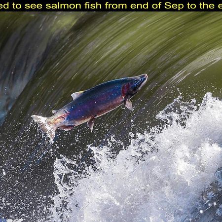 Salmon Magwood Guesthouse Toronto Eksteriør bilde