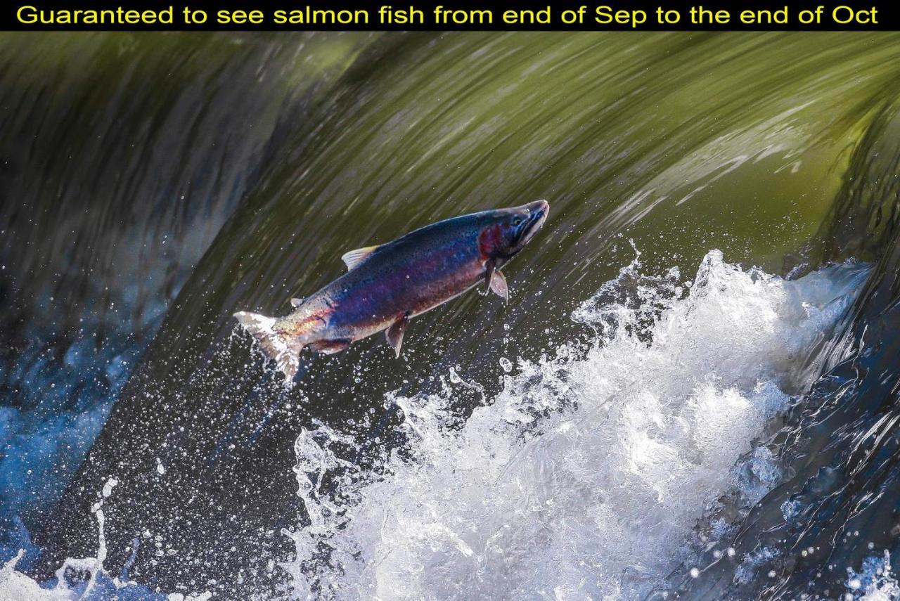 Salmon Magwood Guesthouse Toronto Eksteriør bilde